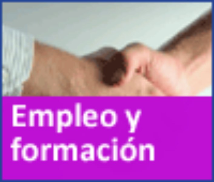 Empleo_y_formacin_Copy
