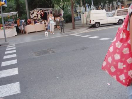 paso cebra