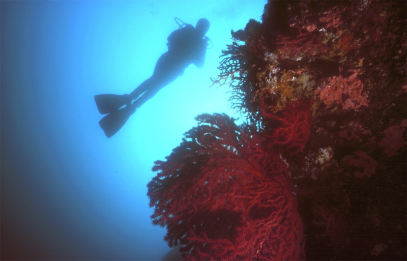 La_actividad_incluye_bautismos_de_buceo