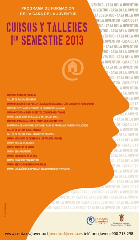 CARTEL CURSOS 1ER SEMESTRE 2013web