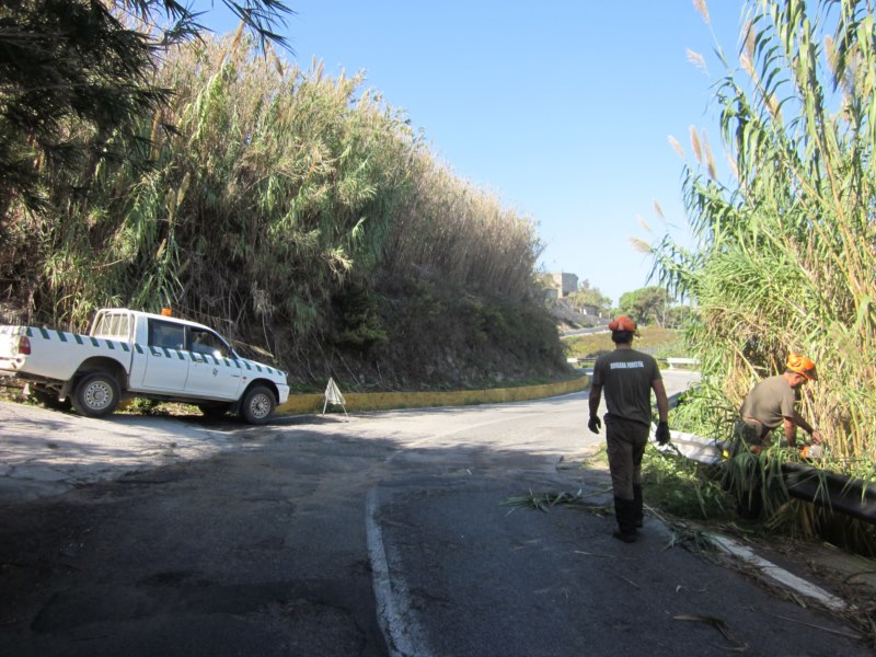 Finca Serrán desbroce prevención incendios forestales Brigada Forestal Obimasa seguridad tráficoweb