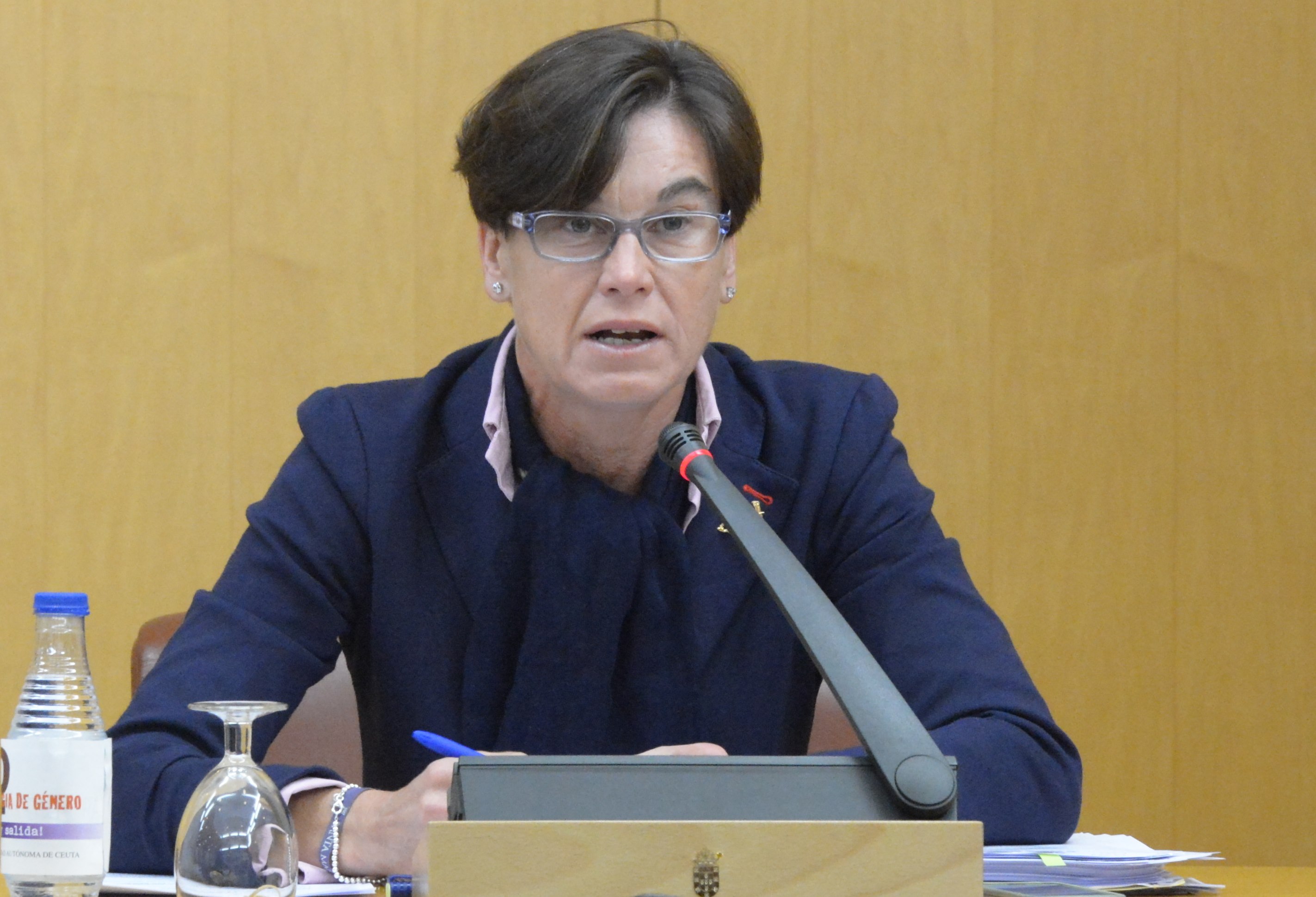 Susana Román Fomento GIUCE Pleno Asamblea noviembreweb