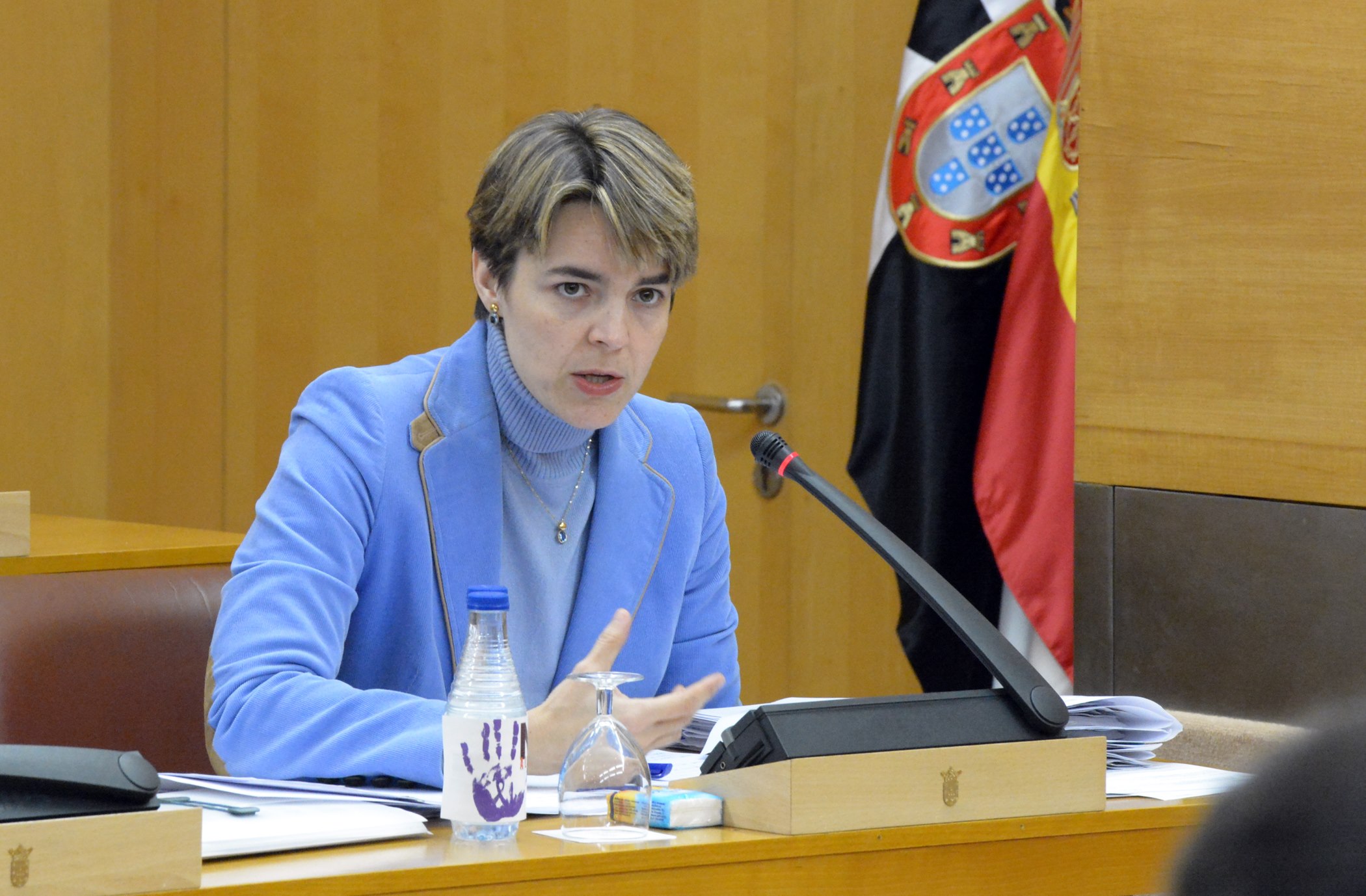 Yolanda Bel Pleno noviembre mercadosweb