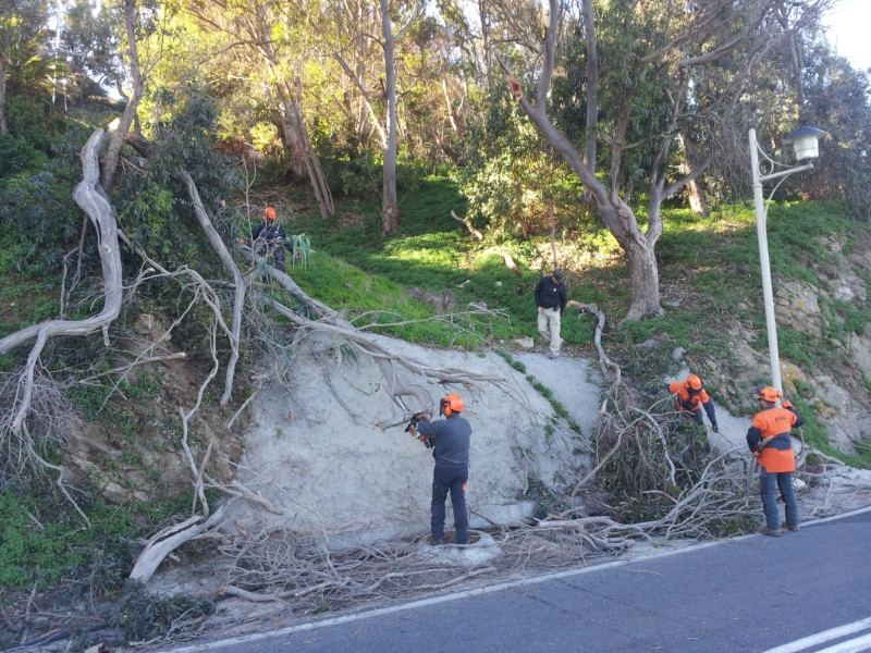 Trabajos en el Monte Hacho