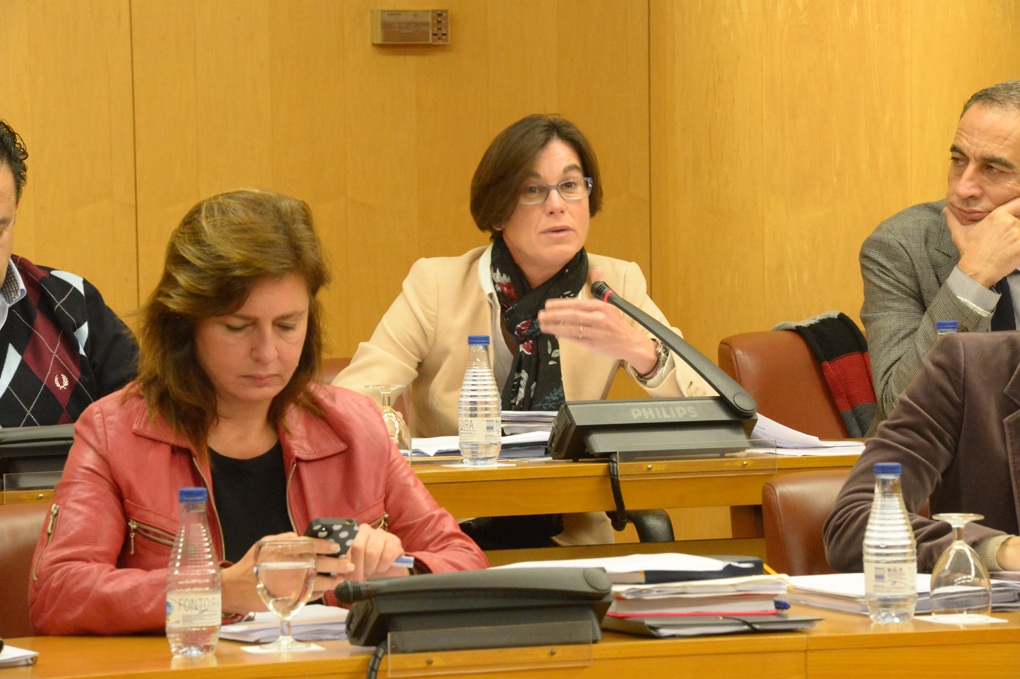 Susana Román bingo Pleno