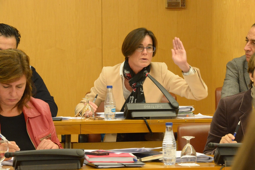 Susana Román consejera Fomento responsable Hacienda pleno asamblea
