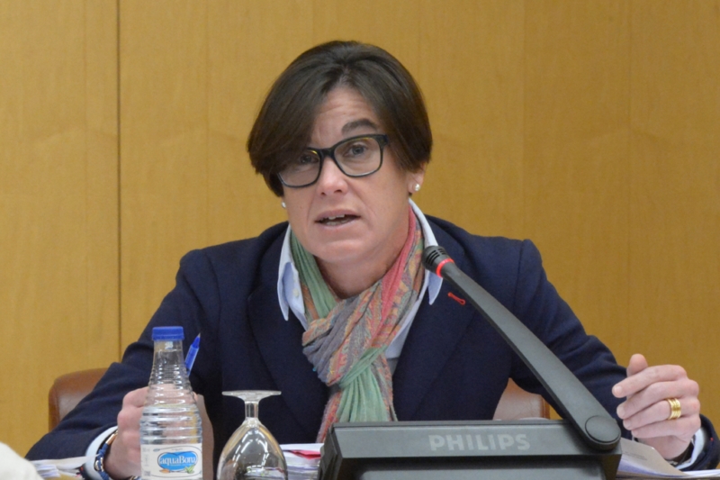 La consejera de Fomento