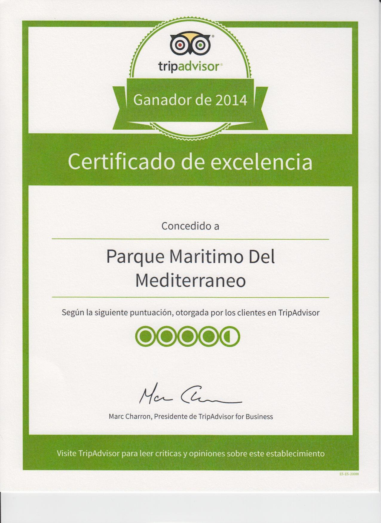 Certificado excelencia Tripadvisorweb
