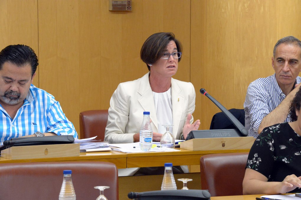Susana Román pleno fomento blanco Gregorio García Castañeda Abdelhakim Abdeselamweb