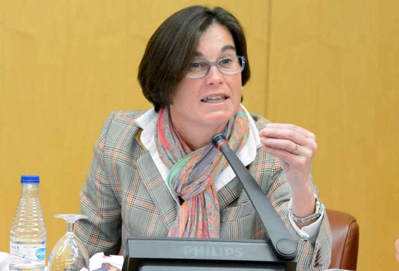 Susana Román fomento pleno asambleaweb 2