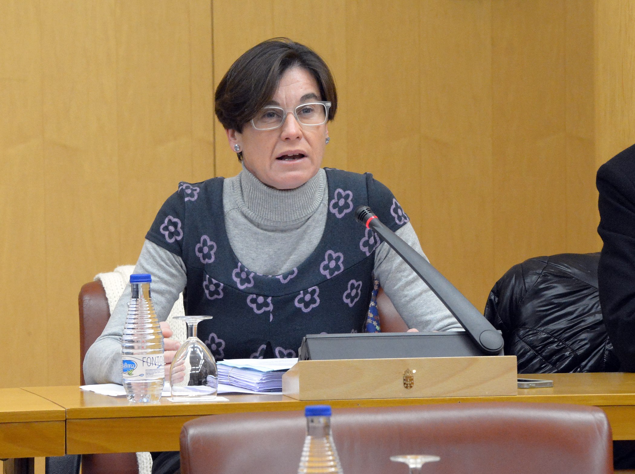 Susana Román plano medio pleno escaño diputado concejal debate políticoweb